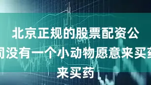 北京正规的股票配资公司没有一个小动物愿意来买药