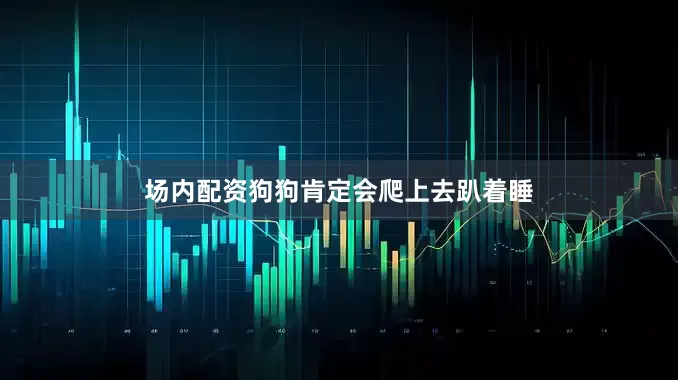 场内配资狗狗肯定会爬上去趴着睡
