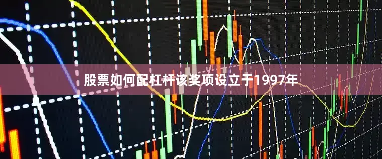 股票如何配杠杆该奖项设立于1997年