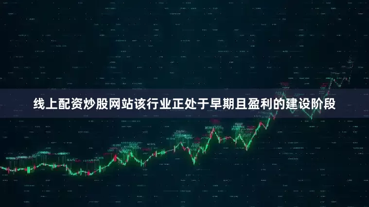 线上配资炒股网站该行业正处于早期且盈利的建设阶段